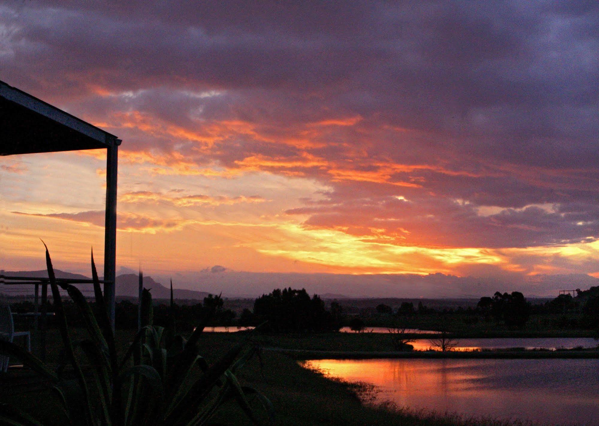 Tonic Hotel Lovedale Dış mekan fotoğraf
